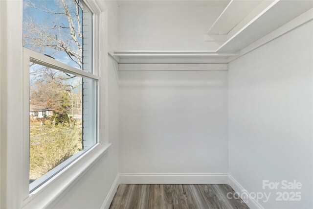 spacious closet with dark wood-style floors