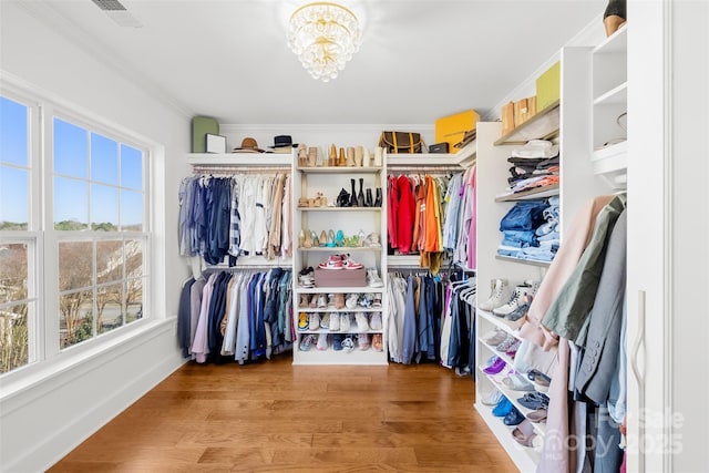 spacious closet featuring wood finished floors, visible vents, and a chandelier