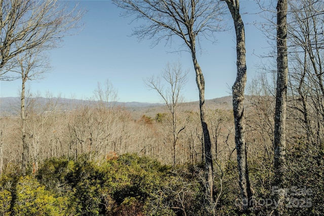 view of nature featuring a view of trees