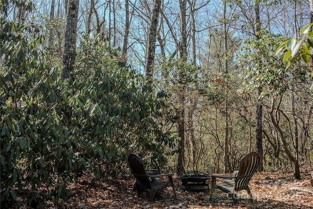 view of yard with a forest view and a fire pit