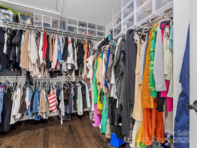 spacious closet featuring wood finished floors