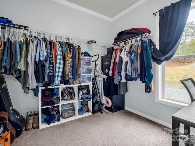 walk in closet with carpet