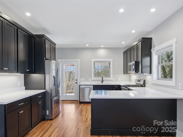 kitchen featuring stainless steel appliances, a peninsula, a sink, light countertops, and a wealth of natural light