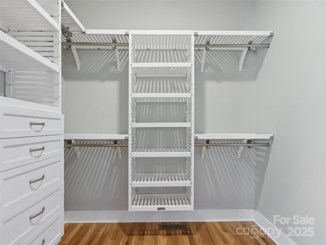 walk in closet featuring visible vents and wood finished floors