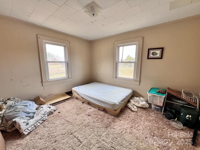 930 Weaver Rd, China Grove, NC 28023 - bedroom with ornamental molding