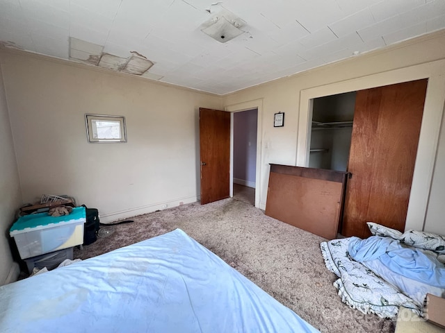 930 Weaver Rd, China Grove, NC 28023 - bedroom featuring carpet, baseboards, and a closet