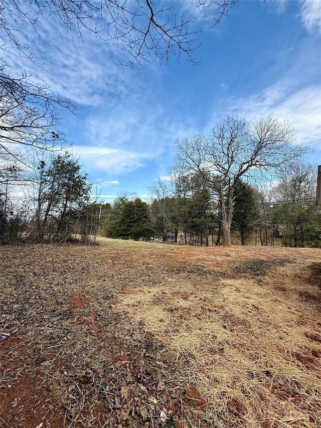 view of local wilderness