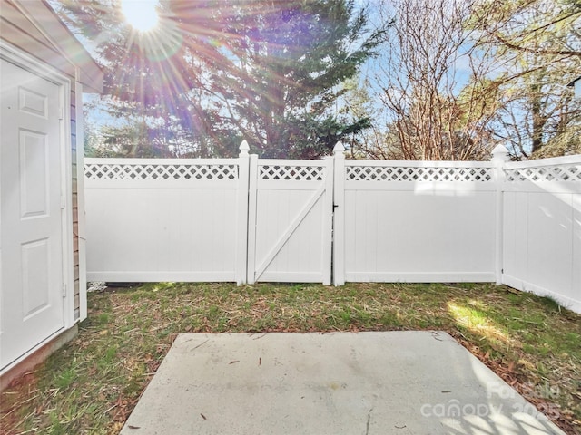 view of yard with a patio area, a fenced backyard, and a gate