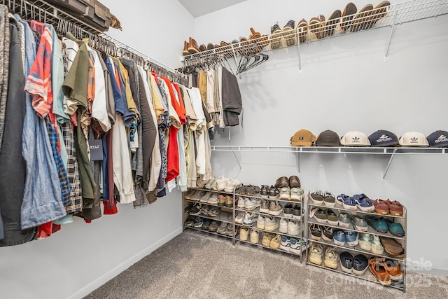 spacious closet featuring carpet flooring