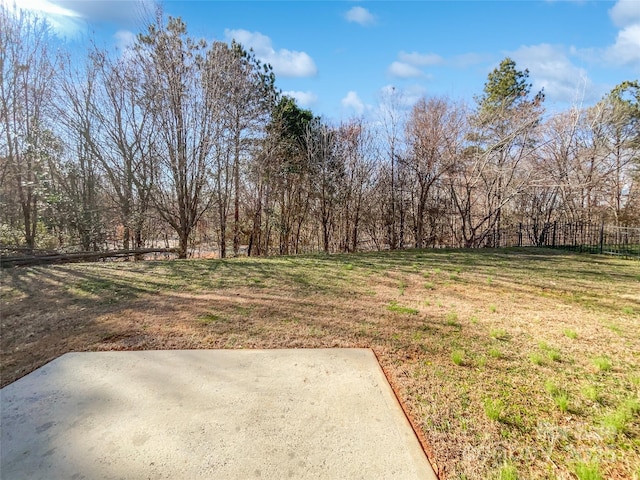 view of yard featuring a patio area