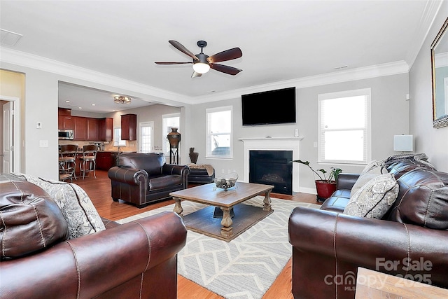 living area featuring a ceiling fan, light wood-style flooring, and crown molding