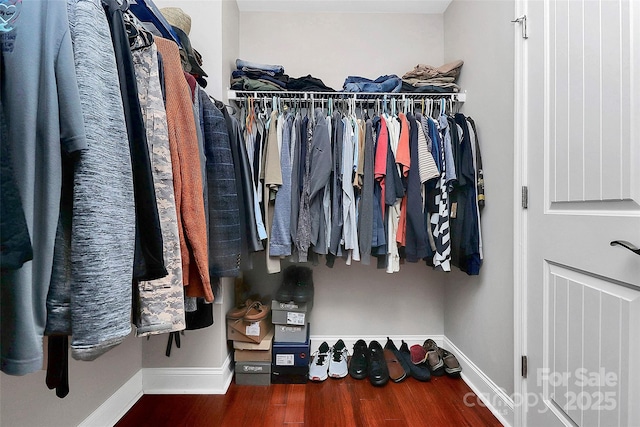 walk in closet with wood finished floors