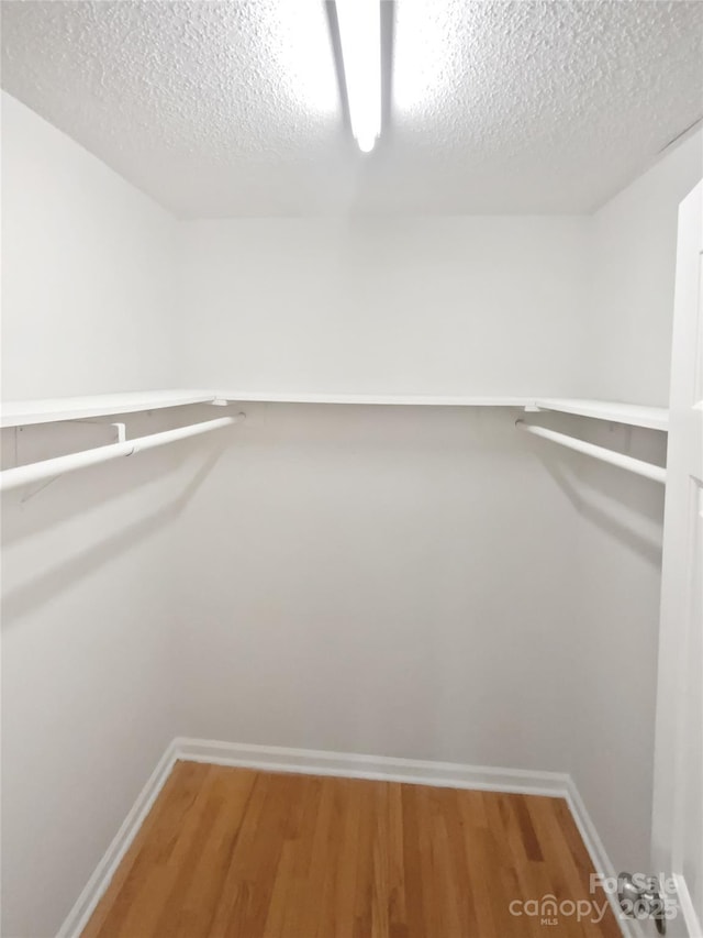 walk in closet featuring light wood finished floors