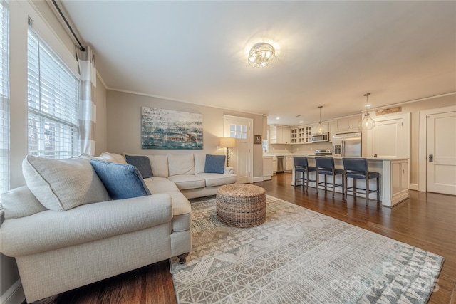 living area featuring baseboards and dark wood-type flooring