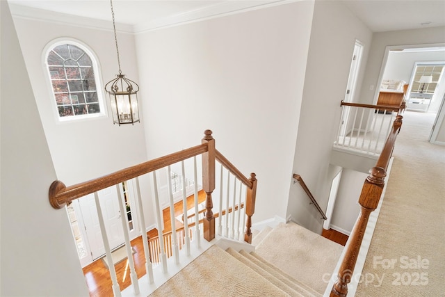 stairs with an inviting chandelier, crown molding, baseboards, and wood finished floors