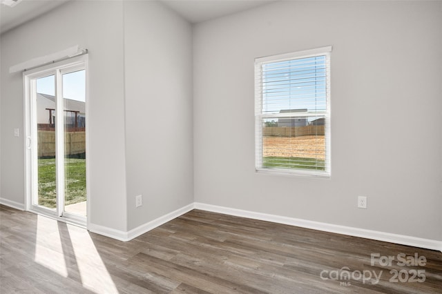 spare room with baseboards, a wealth of natural light, and wood finished floors