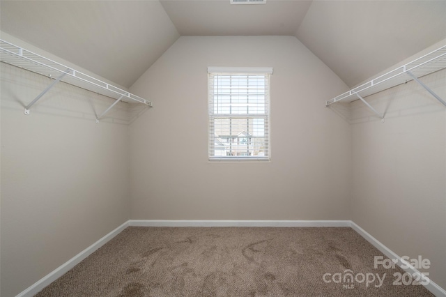 walk in closet with vaulted ceiling, carpet flooring, and visible vents