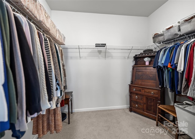 spacious closet featuring carpet flooring