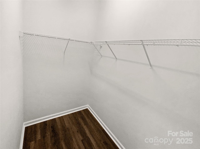 spacious closet featuring dark wood-style floors