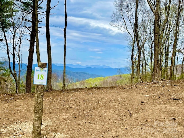 TBD E Garden Trl Unit 18, Hendersonville NC, 28792 land for sale