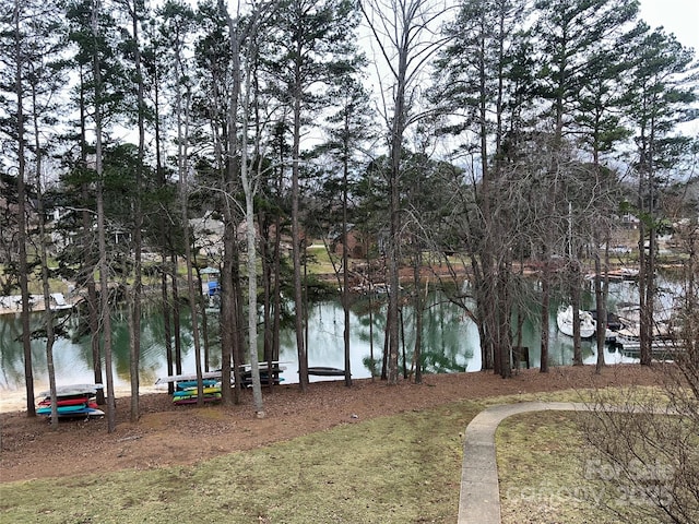 view of water feature