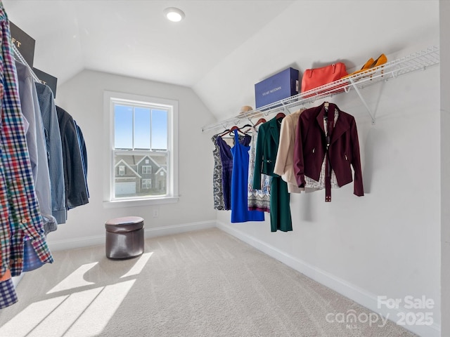 walk in closet featuring vaulted ceiling and carpet flooring