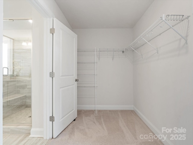 spacious closet featuring carpet flooring