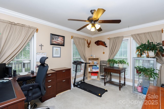 office space with light carpet, ornamental molding, and a ceiling fan