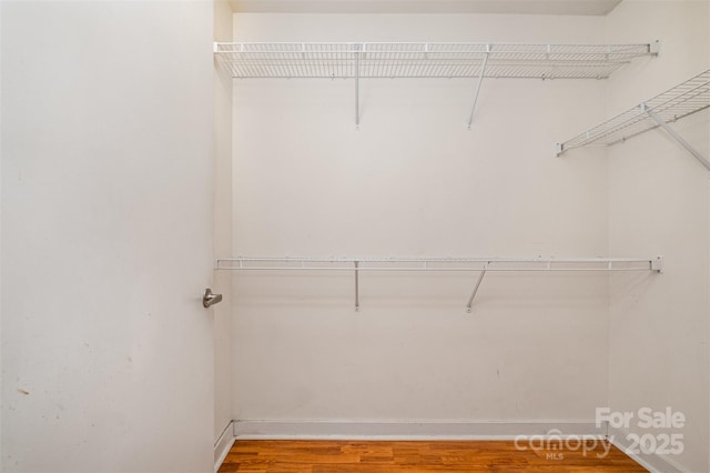 walk in closet with wood finished floors