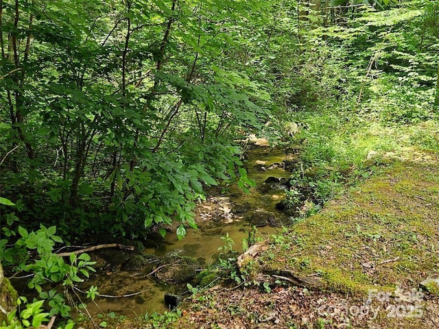 view of nature with a view of trees