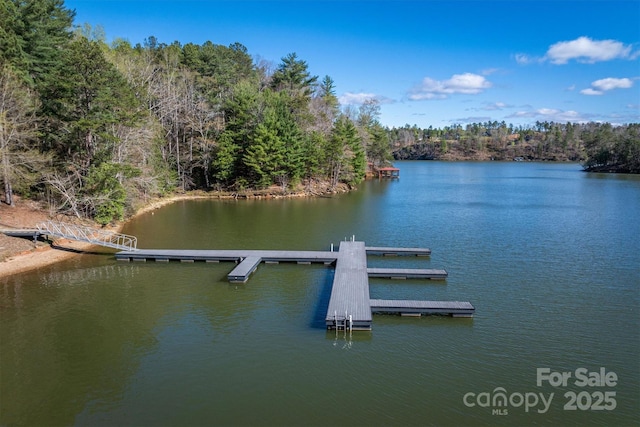 dock area featuring a water view