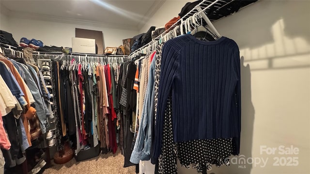 spacious closet featuring carpet flooring