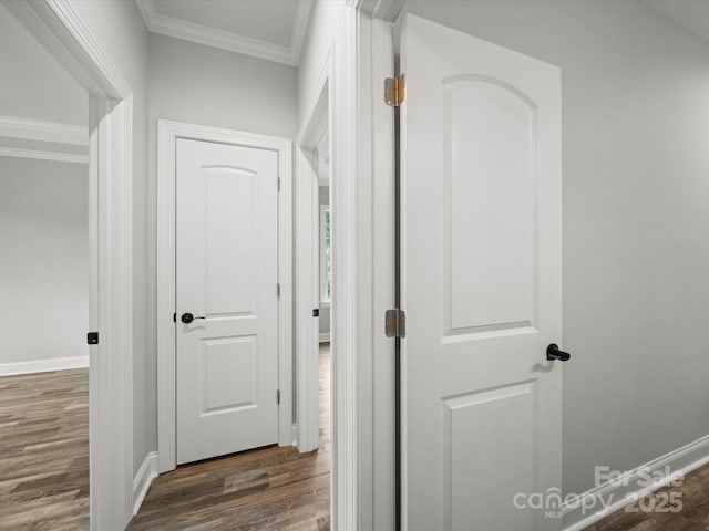 corridor with baseboards, dark wood-style flooring, and ornamental molding