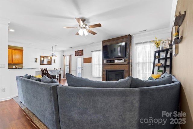 living room with a fireplace, crown molding, visible vents, ceiling fan, and wood finished floors