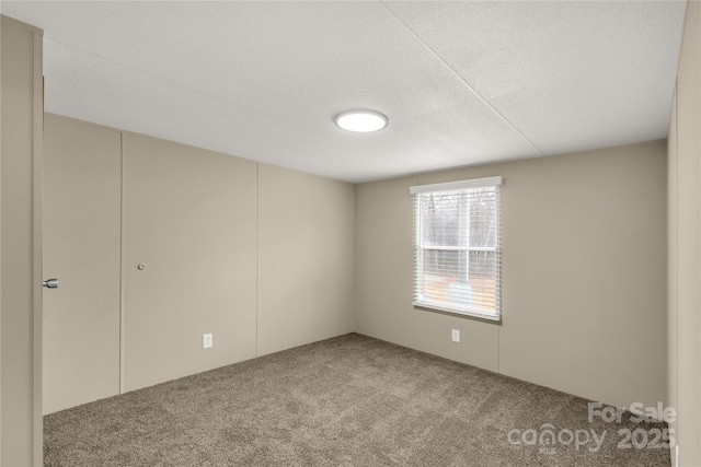 spare room with carpet floors and a textured ceiling