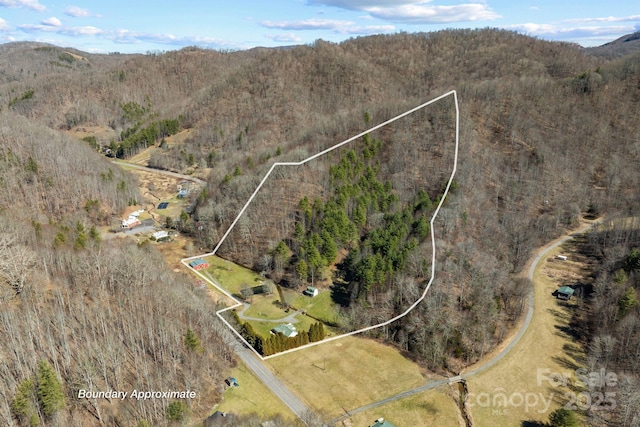 birds eye view of property with a mountain view and a wooded view