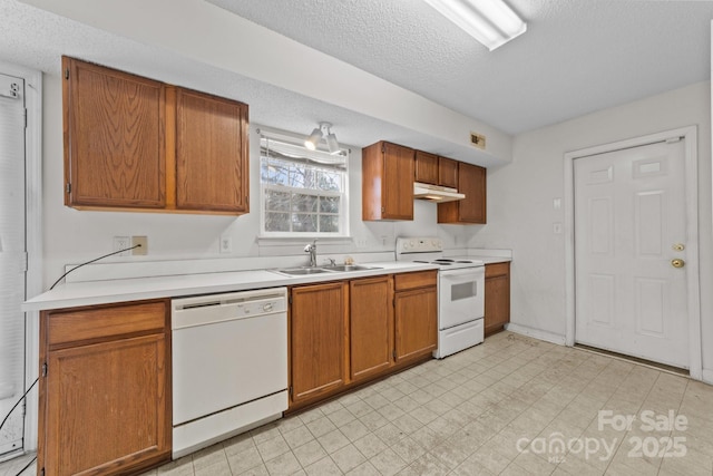 kitchen featuring white appliances, a sink, light countertops, under cabinet range hood, and brown cabinets