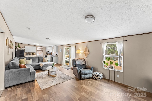 living area featuring crown molding, a textured ceiling, and light wood finished floors