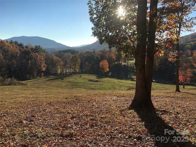 property view of mountains featuring a forest view