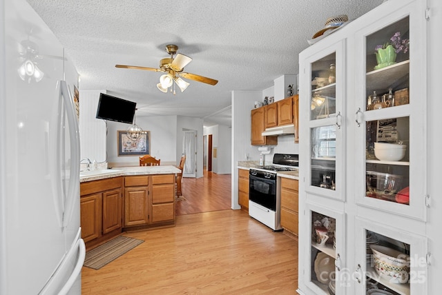 kitchen with under cabinet range hood, a sink, gas range oven, freestanding refrigerator, and light countertops