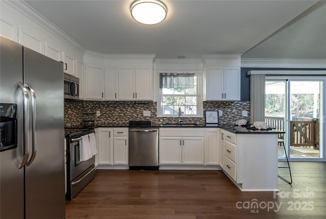 kitchen with dark countertops, appliances with stainless steel finishes, dark wood-type flooring, and a sink