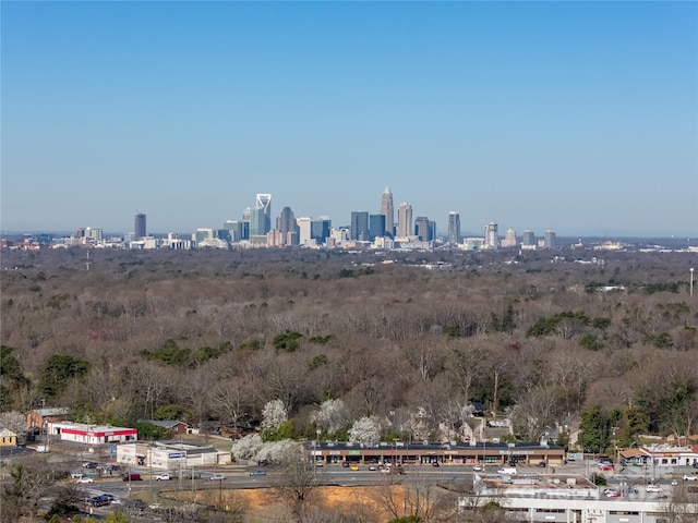 property's view of city