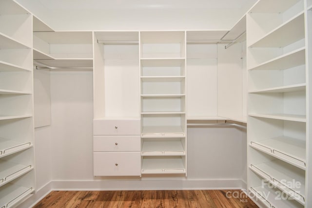 walk in closet featuring wood finished floors