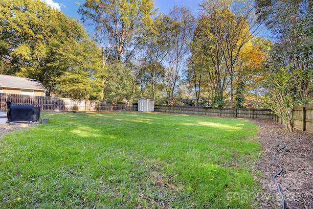 view of yard with an outbuilding, a storage unit, and a fenced backyard