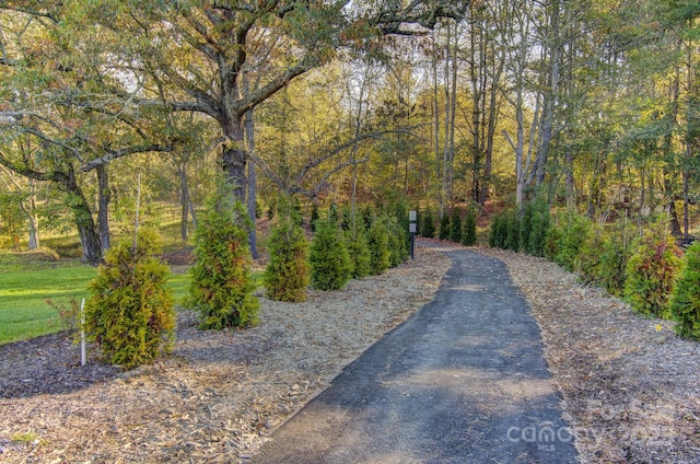 view of home's community featuring a forest view