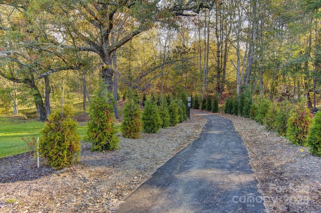304 Mavrick Dr, Mills River, NC 28759 - photo 34