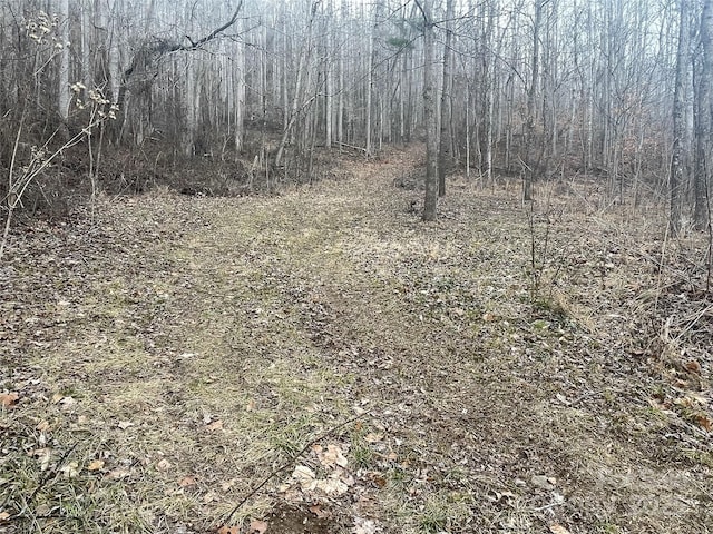 Listing photo 2 for 000 Martins Creek Rd, Barnardsville NC 28709