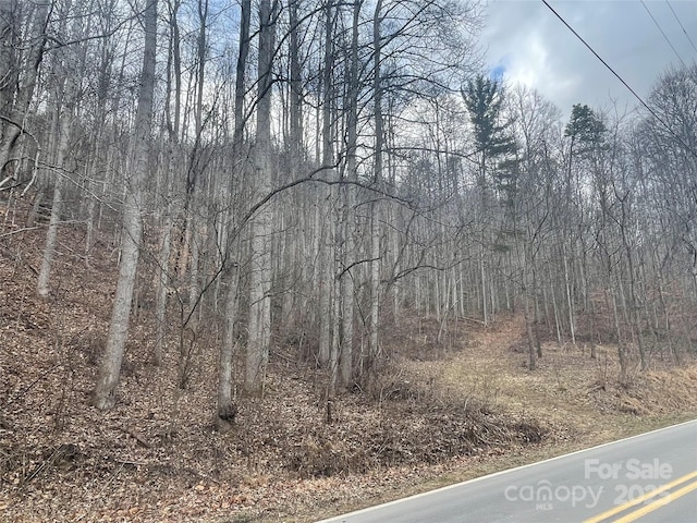 Listing photo 3 for 000 Martins Creek Rd, Barnardsville NC 28709