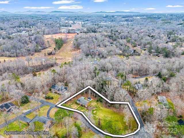 drone / aerial view featuring a mountain view