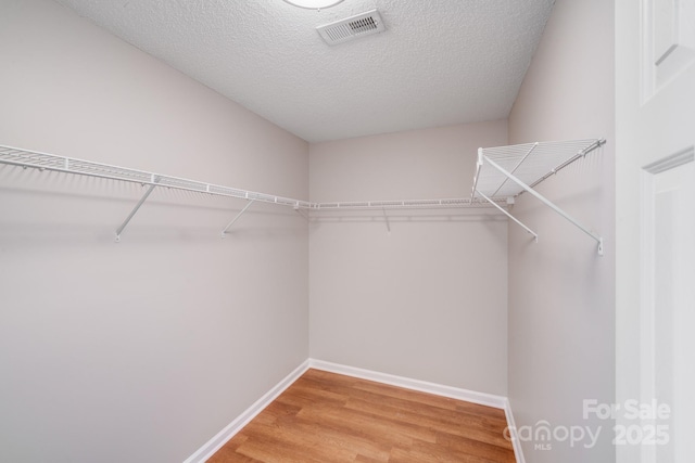 spacious closet featuring light wood-type flooring and visible vents